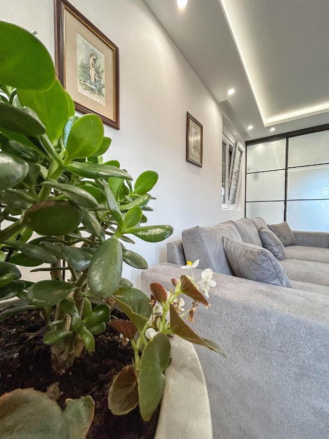 Sunrise Apartment Котор Екстер'єр фото
